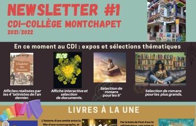 NEWSLETTER #1 CDI collège Montchapet(1).jpg