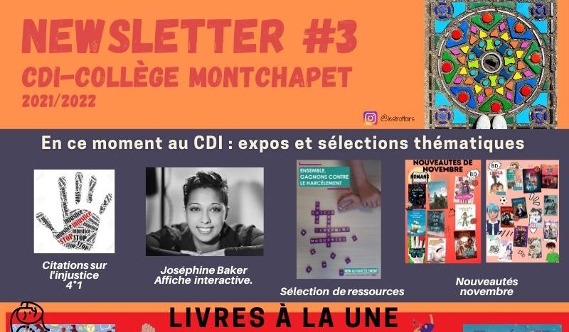 NEWSLETTER #3 CDI collège Montchapet.jpg